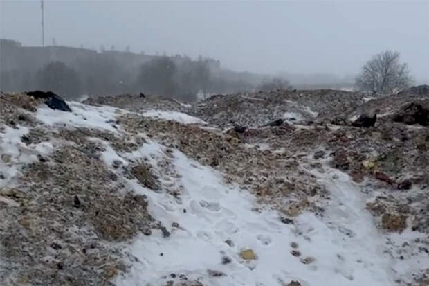 Жители Ленобласти пожаловались на нелегальные свалки возле жилых домов