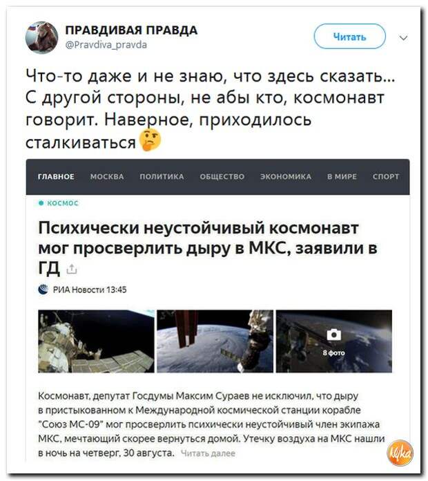 81.jpg
