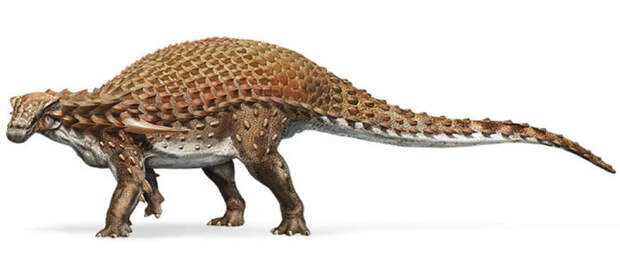 Примерно так выглядел нодозавр. /Фото:nationalgeographic.com