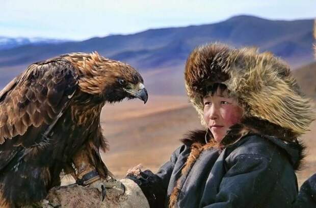 Охотники приручают орлов, а те добывают для них лис, сурков и других мелких животных быт, кочевник, культура, монголия, народ, племя, фотомир, цаатаны
