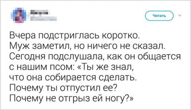 Да псу вообще по барабану)