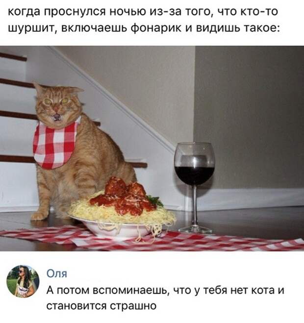 Юмор и комментарии из социальных сетей (25 скриншотов)
