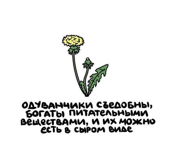 Интересные, но короткие факты на все случаи жизни