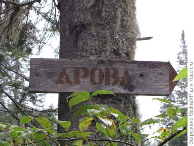 даже вот так))) было бы странно,если бы в лесу их не было))))))