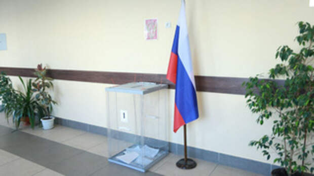 Выборы в Алтайском крае / Фото: amic.ru / Екатерина Смолихина