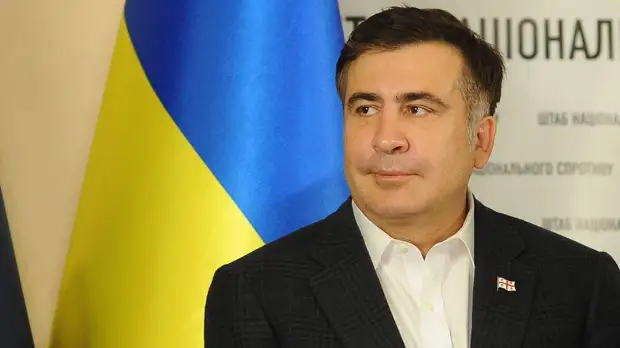 Освобождение Саакашвили означает развязывание войны в Грузии — лидер партии