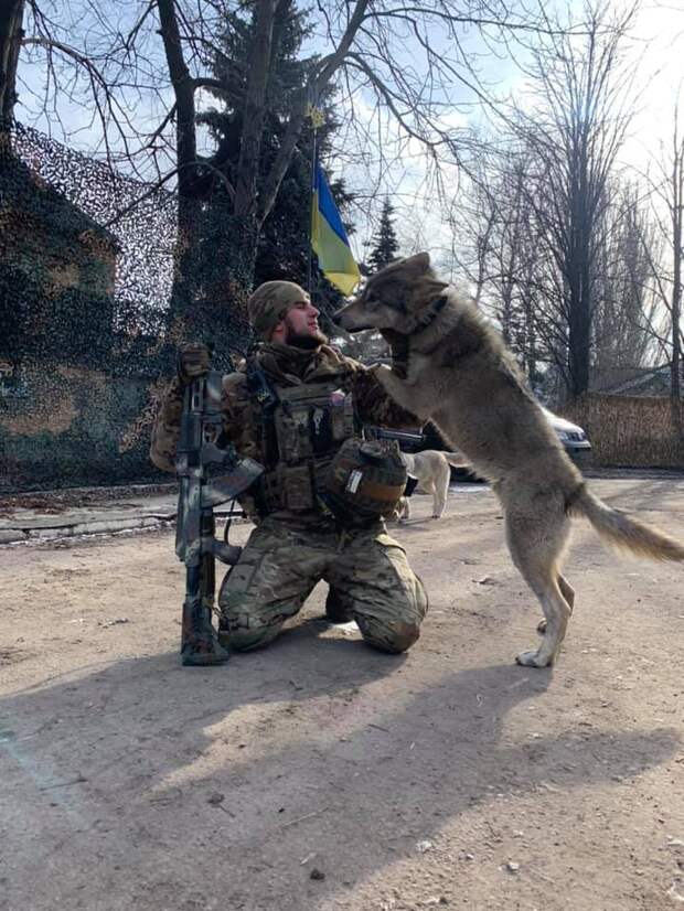 Переговоры говоришь... С кем?