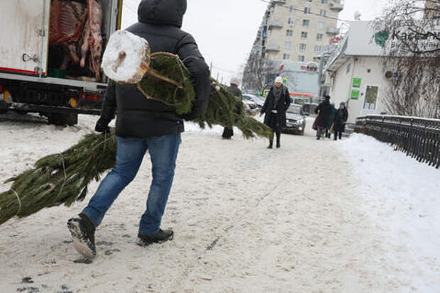 Не праздничное настроение: штраф прилетит за выброс ёлки после праздников