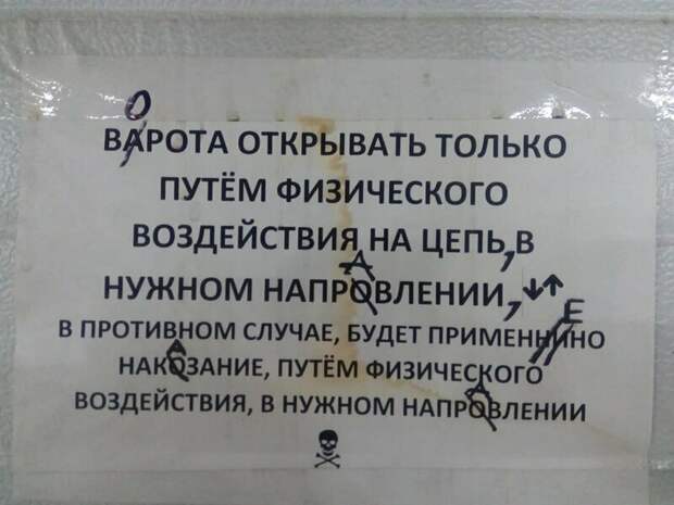 Ученье - свет: убедительные примеры из современной жизни Ученье - свет: убедительные примеры из современной жизни
