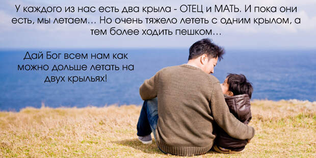 7 цитат о родителях, от которых тепло становится всем