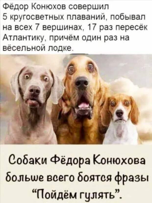 - Дорогой, у тебя там, в кармане 10 тысяч лежат, можно я их уже взяла?