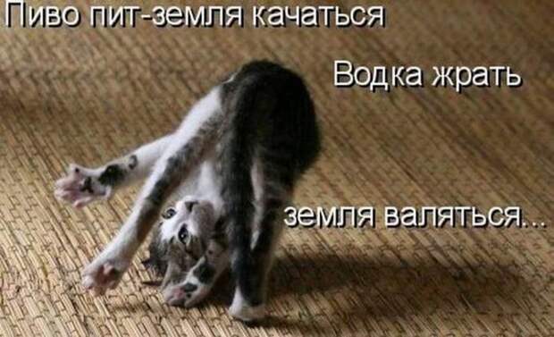 Мысли вслух :)