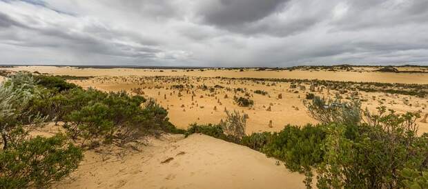 пустыня тасмании