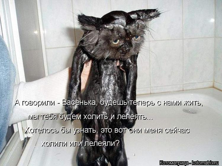 Котоматрица: А говорили - Васенька, будешь теперь с нами жить,  мы тебя будем холить и лелеять... Хотелось бы узнать, это вот они меня сейчас холили или леле