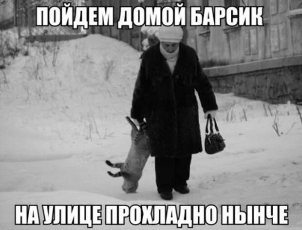Забавные зверушки (30 фото)