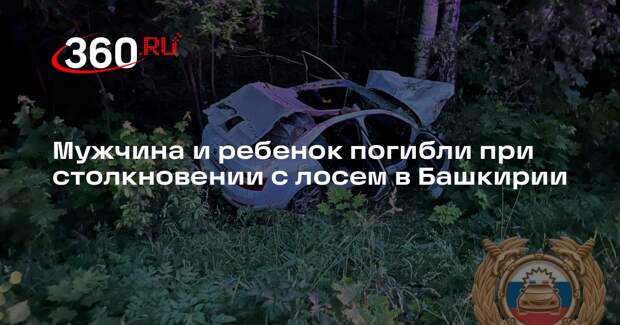 Мужчина и ребенок погибли при столкновении с лосем в Башкирии