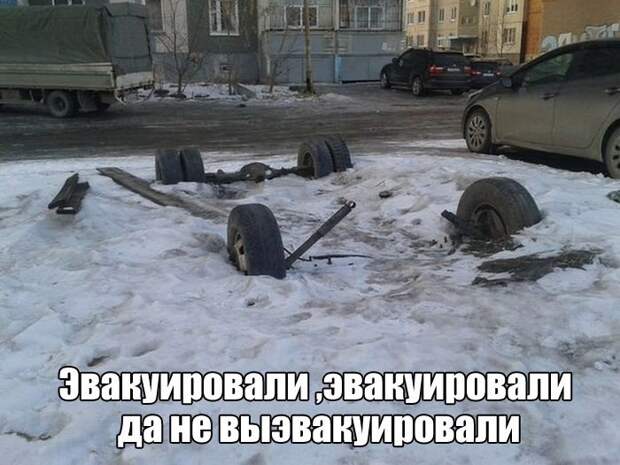 Фото приколы (85 фото)