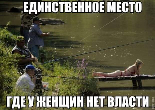 Прикольные фотомемы (25 шт)