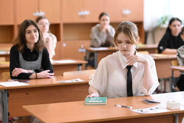 Депутат Толмачев: при недопуске на экзамен нужно обращаться в конфликтную комиссию