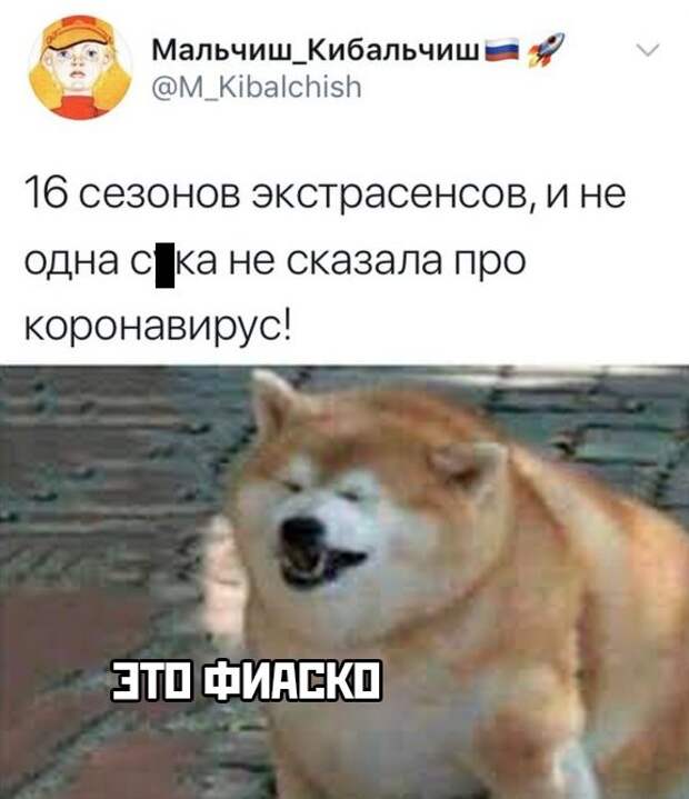 Смешные фото утро 24 марта 2020