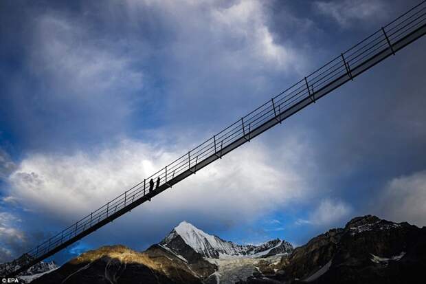 Вниз не смотреть: самый длинный пешеходный мост открыли в горах Швейцарии Грэхен, Церматт, горы, курорт, мост, туристы, швейцария