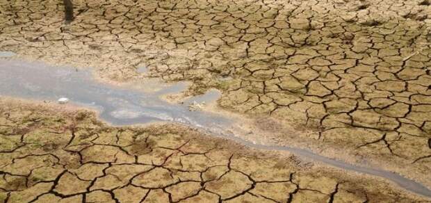 Засуха и пустыня