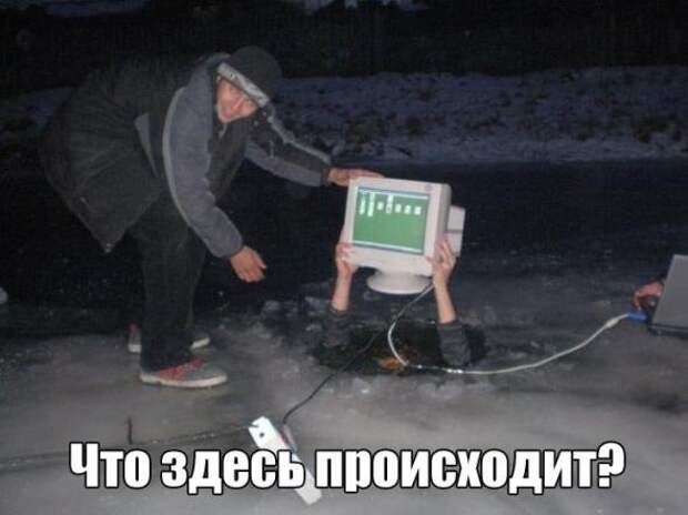 Картинки, юмор, приколы