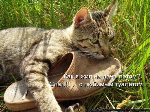 Мысли вслух :)