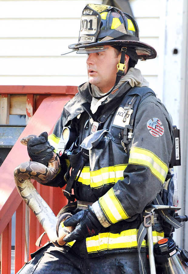 firefighters-rescuing-animals-saving-pets-28-5729fd5753248__605
