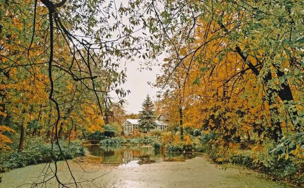 Из Городского сада можно отправиться на набережную и сфотографироваться на фоне Староволжского моста, который является одной из визитных карточек нашего города.