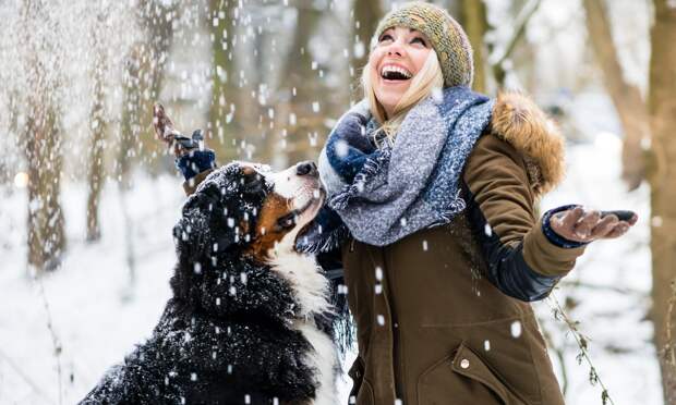 Не рвется на улицу, вытягивает лапы и еще 5 признаков, что у вашей собаки артрит