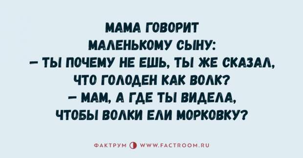 Крутая подборка анекдотов, чтением которой надо заняться прямо сейчас