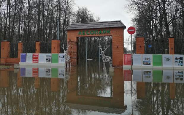 В рязанском Лесопарке вода начала заливать парковку