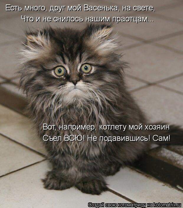 Котоматрица: Есть много, друг мой Васенька, на свете, Что и не снилось нашим праотцам... Вот, например, котлету мой хозяин Съел ВСЮ! Не подавившись! Сам!