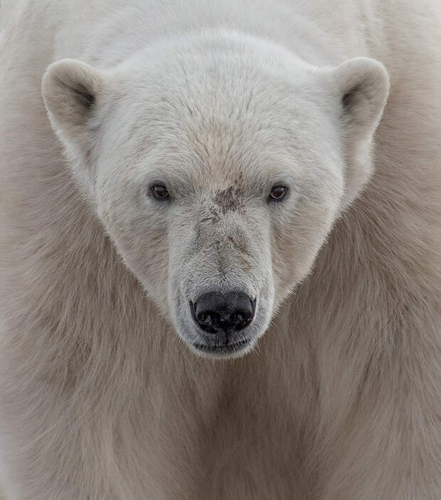 Конкурс фотографий National Geographic Traveler 2016