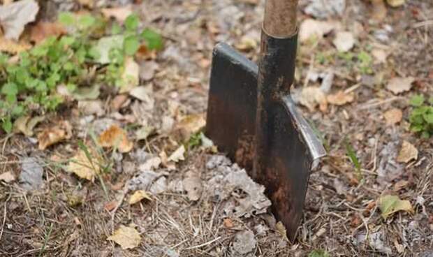 Лопаты больше не точу ни "болгаркой", ни напильником. Кузнец показал как их заострять, очень долго не тупятся