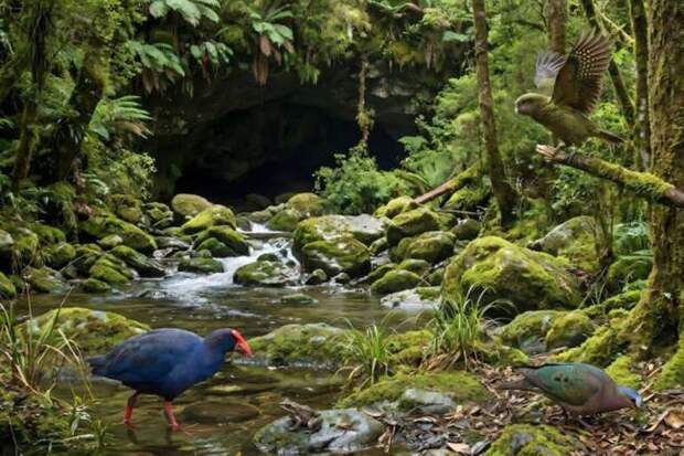 В древней пещере нашли «затерянный мир» возрастом в миллионы лет