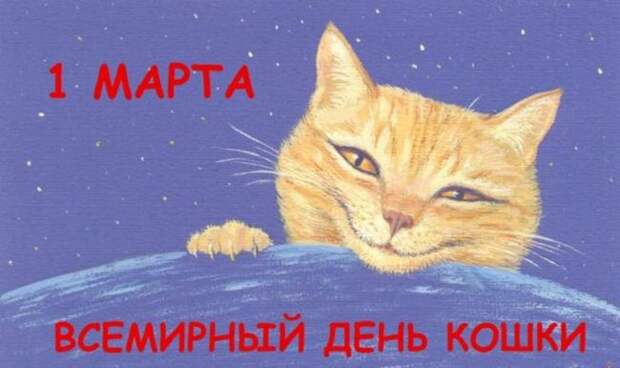 поздравляю-с-днем-кошек-открытка