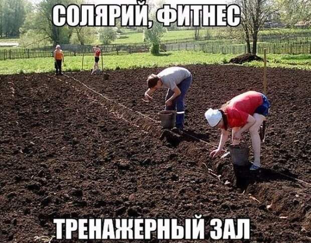 fotopodborka_chetverga_113_foto_6.jpg