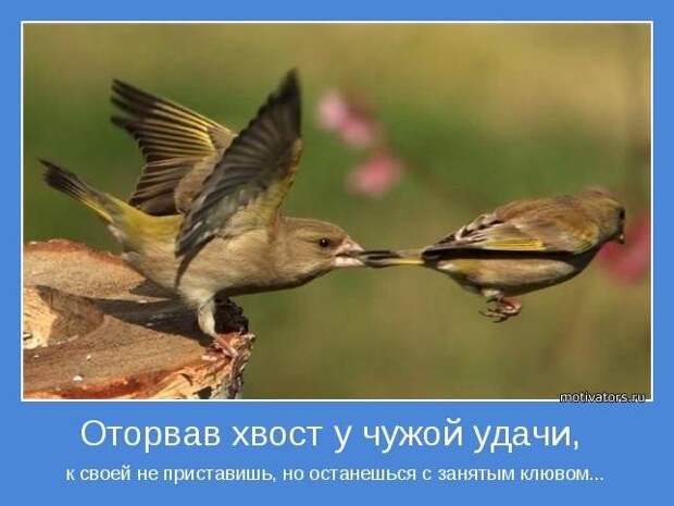 Позитивные мотиваторы с глубоким смыслом (10 фото) Позитивные мотиваторы с глубоким смыслом (10 фото)