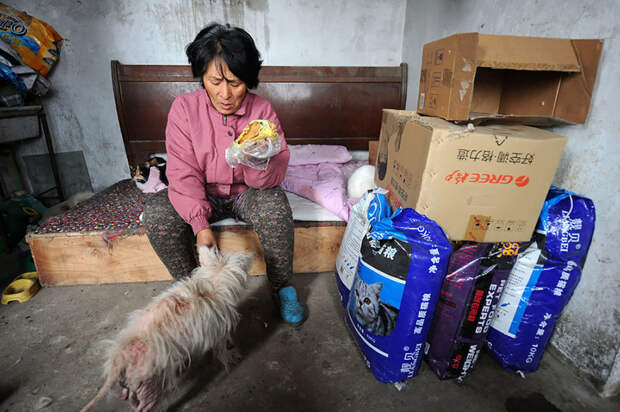 Она преодолела 2400 км и потратила 1100 $, чтобы спасти 100 собак от съедения собака, спасение