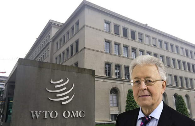 Катасонов: Запад руками ВТО воюет с Россией — пора сказать им «до свидания»