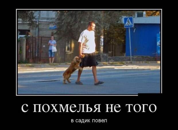 Демотиваторы на субботу (30 фото)