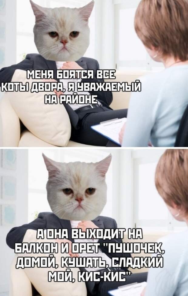 www.vsyako.net