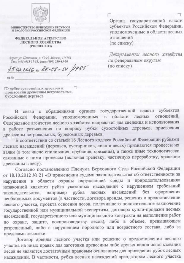 рубка сушняка и присвоение ветровальной и буреломной древесины - это хищение