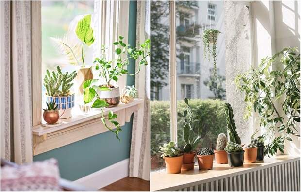 Живые цвета добавляют квартире уюта Живые цвета добавляют квартире уюта