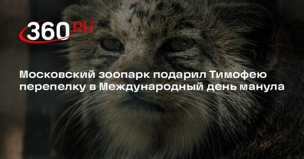Московский зоопарк подарил Тимофею перепелку в Международный день манула