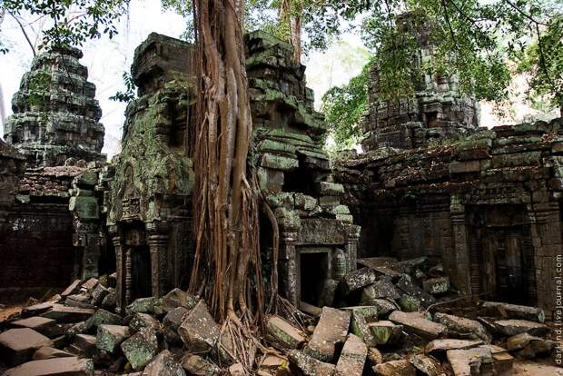 Камбоджийский храм Та Пром (Ta Prohm) и гигантские деревья Камбоджийский храм Та Пром (Ta Prohm) и гигантские деревья