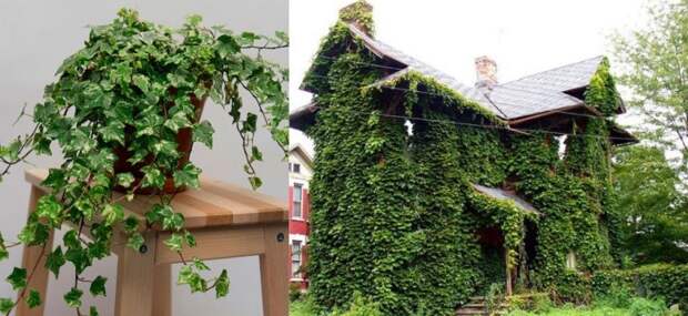 вещи которые нельзя хранить дома