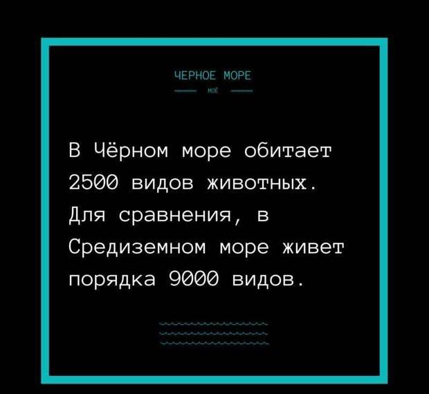 Почему Черное море - "черное". история, русское море, факты